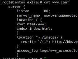 Nginx Rewrite（伪静态）