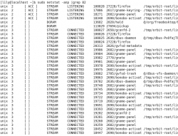 linux中如何查看某个端口是否被占用 - 上海-茶茶